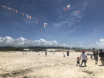 白い砂と青い空に色鮮やかな凧が映える